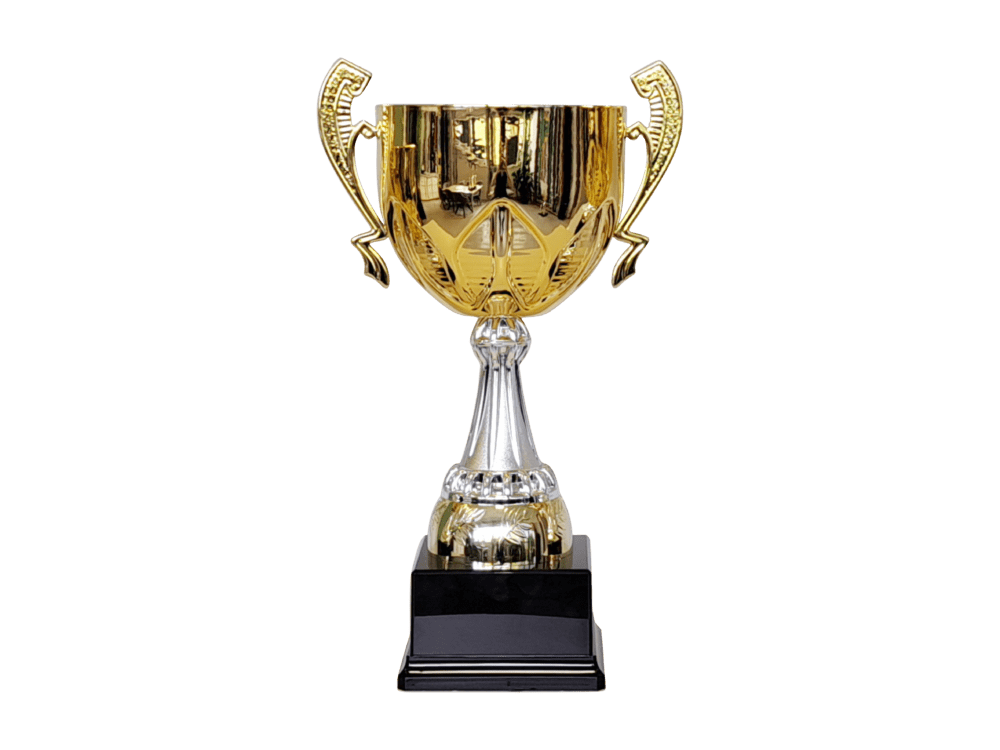 Pokalserie "DOMINIC"