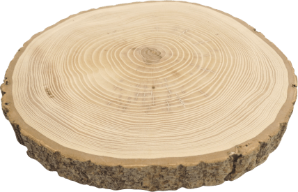 Holzscheibe