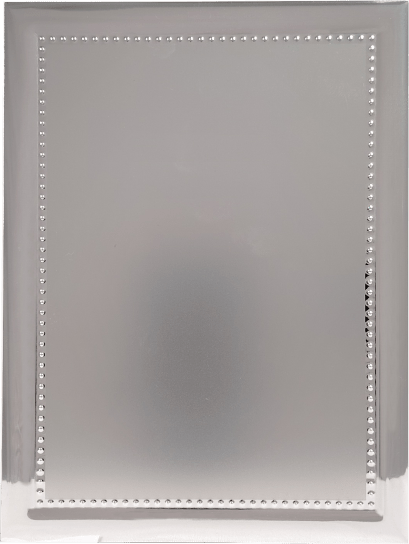 Schild Silber/Silber