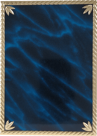 Schild Tulpe Blau/Gold